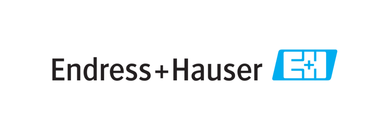 Logotipo ENDRESS+HAUSER